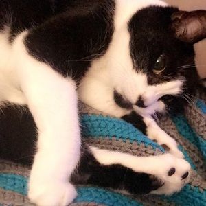 Meet your Posher, Grant